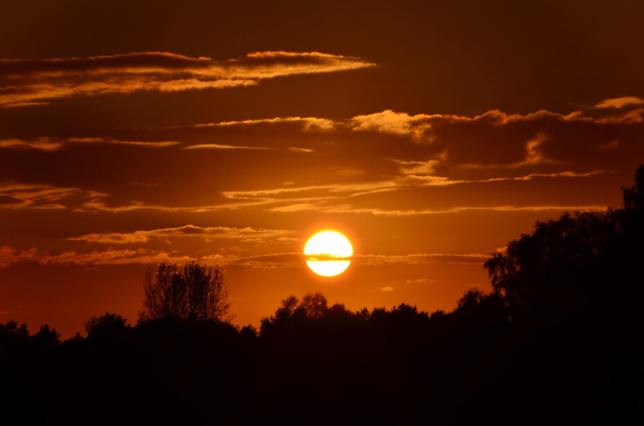 Brennende Sonne Landschaft Bäume Silhouette Wolken Gold Rot