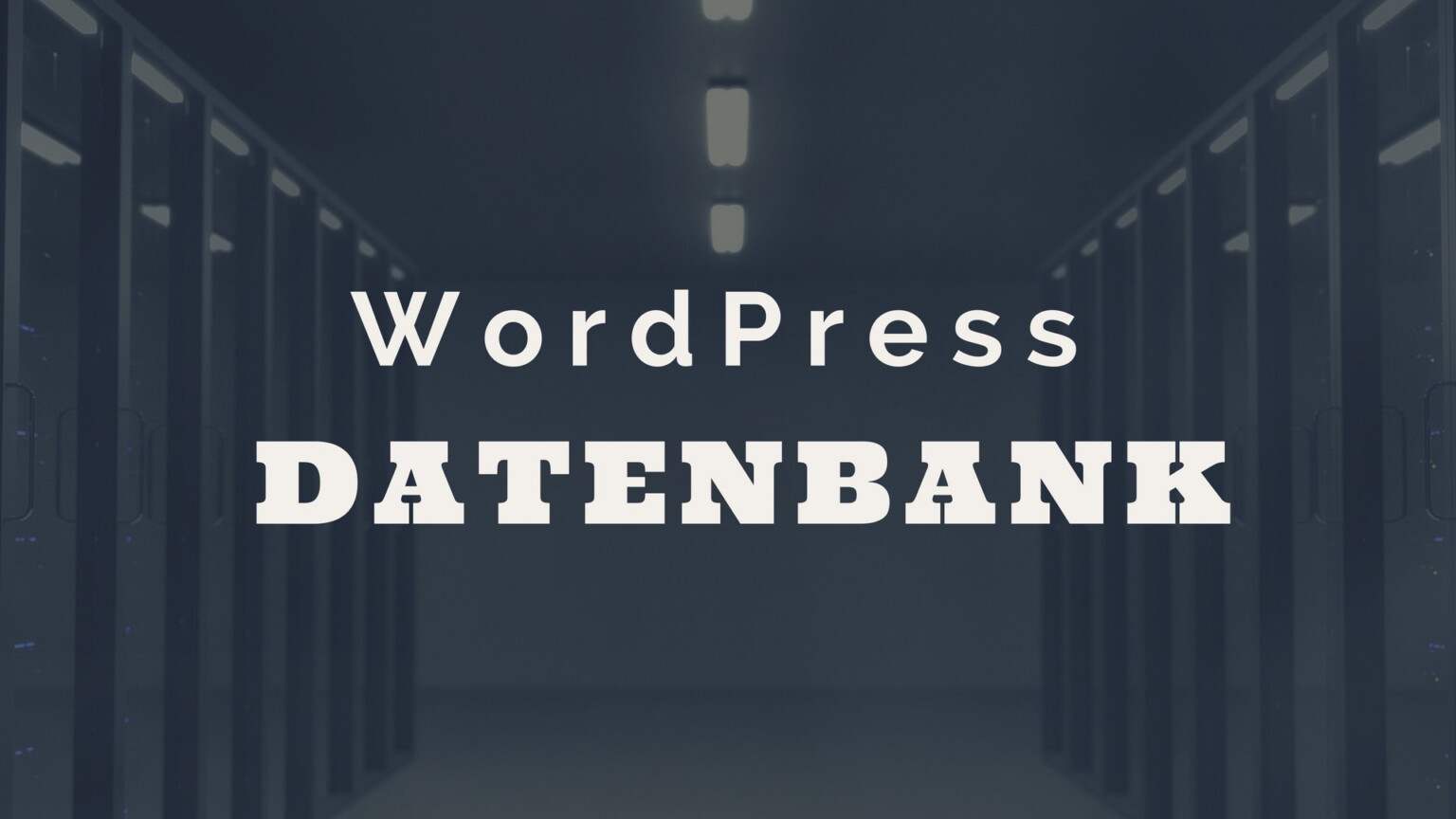WordPress Datenbank Randnotizen Wordpress datenbank randnotizen
