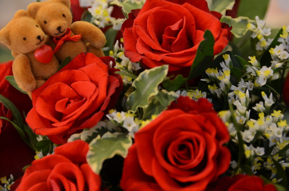 Valentinstag Blumen Rosen Rot Herz Bären Blätter Grün