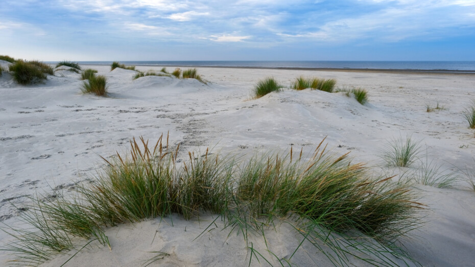 Ameland Strand