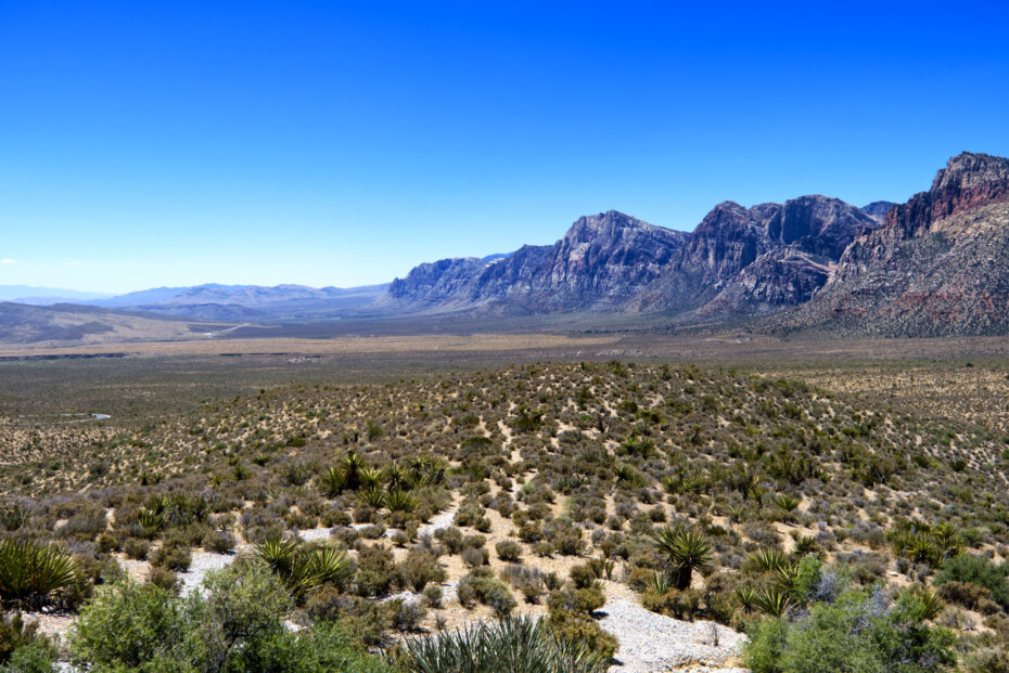 Red Rock Canyon