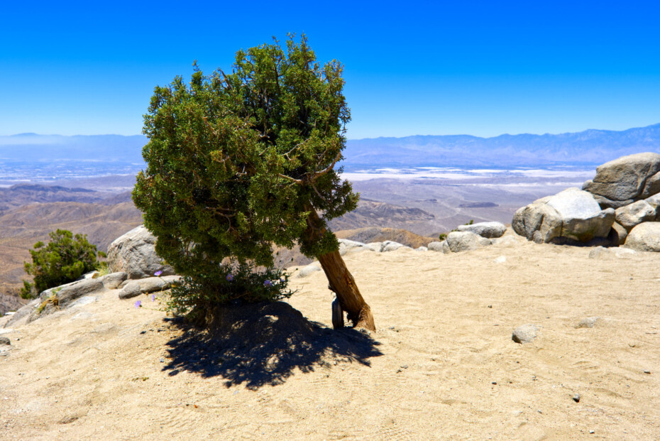 Keys View